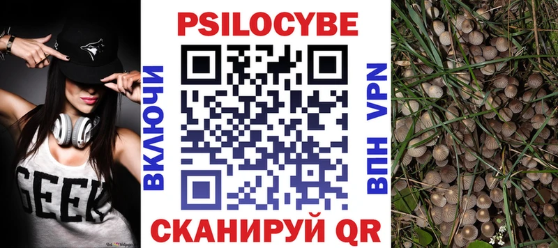 купить наркотик  Яровое  Псилоцибиновые грибы GOLDEN TEACHER 